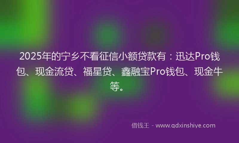 2025年的宁乡不看征信小额贷款有：迅达Pro钱包、现金流贷、福星贷、鑫融宝Pro钱包、现金牛等。