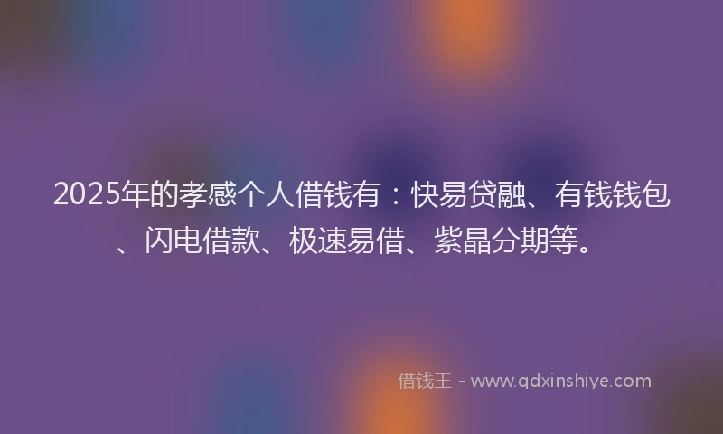 2025年的孝感个人借钱有：快易贷融、有钱钱包、闪电借款、极速易借、紫晶分期等。