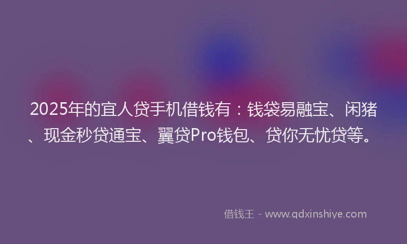 2025年的宜人贷手机借钱有：钱袋易融宝、闲猪、现金秒贷通宝、翼贷Pro钱包、贷你无忧贷等。