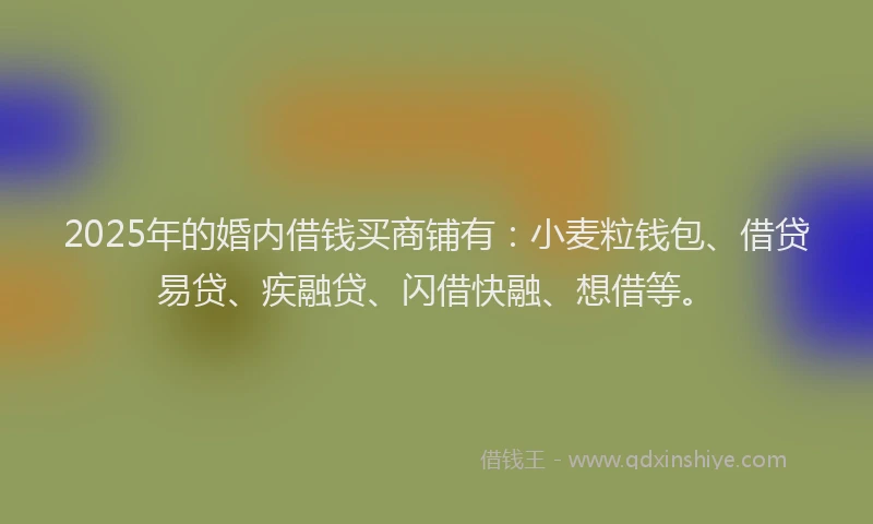 2025年的婚内借钱买商铺有：小麦粒钱包、借贷易贷、疾融贷、闪借快融、想借等。