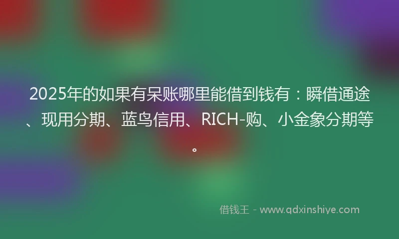 2025年的如果有呆账哪里能借到钱有：瞬借通途、现用分期、蓝鸟信用、RICH-购、小金象分期等。