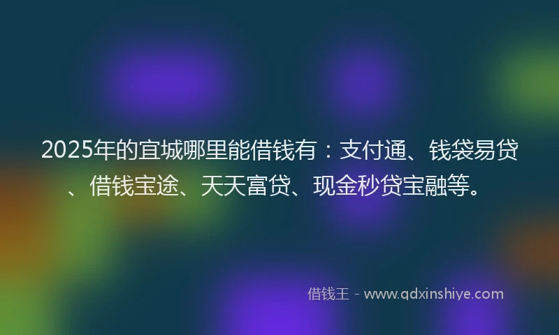 2025年的宜城哪里能借钱有：支付通、钱袋易贷、借钱宝途、天天富贷、现金秒贷宝融等。