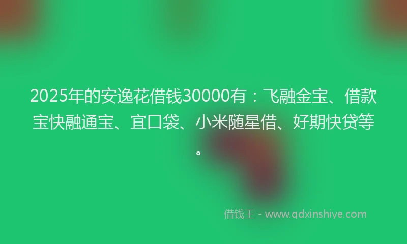 2025年的安逸花借钱30000有：飞融金宝、借款宝快融通宝、宜口袋、小米随星借、好期快贷等。