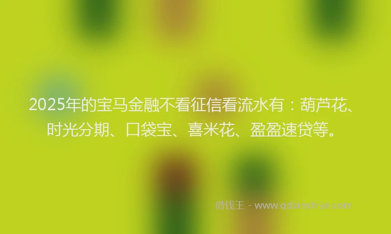 2025年的宝马金融不看征信看流水有：葫芦花、时光分期、口袋宝、喜米花、盈盈速贷等。