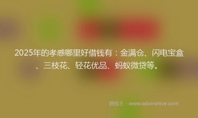 2025年的孝感哪里好借钱有：金满仓、闪电宝盒、三枝花、轻花优品、蚂蚁微贷等。
