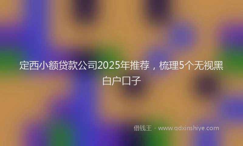 定西小额贷款公司2025年推荐，梳理5个无视黑白户口子