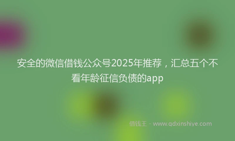 安全的微信借钱公众号2025年推荐，汇总五个不看年龄征信负债的app