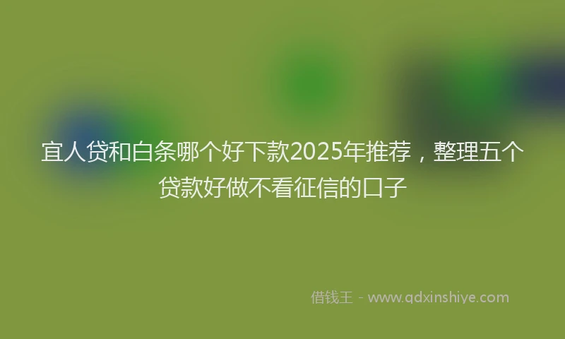宜人贷和白条哪个好下款2025年推荐，整理五个贷款好做不看征信的口子