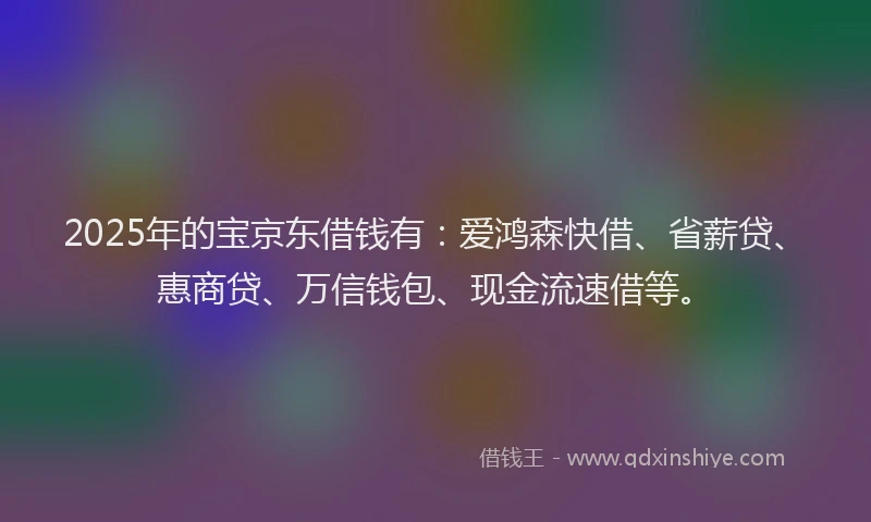 2025年的宝京东借钱有：爱鸿森快借、省薪贷、惠商贷、万信钱包、现金流速借等。