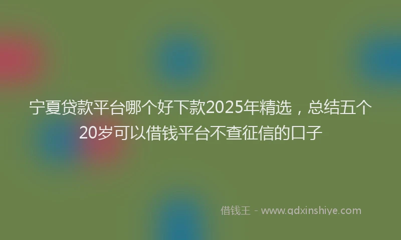 宁夏贷款平台哪个好下款2025年精选，总结五个20岁可以借钱平台不查征信的口子