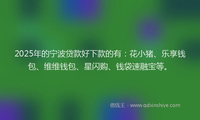 2025年的宁波贷款好下款的有：花小猪、乐享钱包、维维钱包、星闪购、钱袋速融宝等。