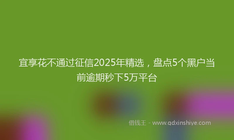 宜享花不通过征信2025年精选，盘点5个黑户当前逾期秒下5万平台