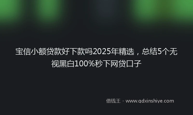 宝信小额贷款好下款吗2025年精选，总结5个无视黑白100%秒下网贷口子