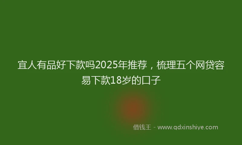 宜人有品好下款吗2025年推荐，梳理五个网贷容易下款18岁的口子