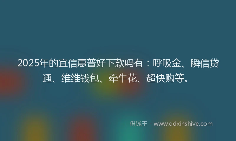 2025年的宜信惠普好下款吗有：呼吸金、瞬信贷通、维维钱包、牵牛花、超快购等。