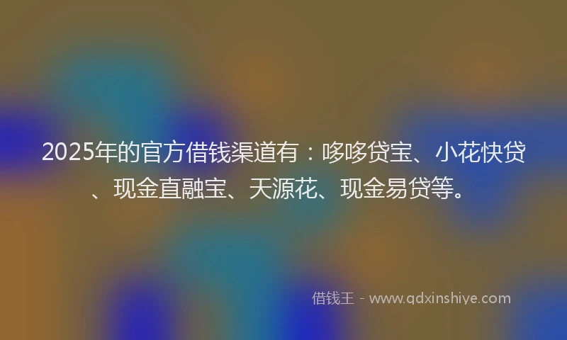 2025年的官方借钱渠道有：哆哆贷宝、小花快贷、现金直融宝、天源花、现金易贷等。