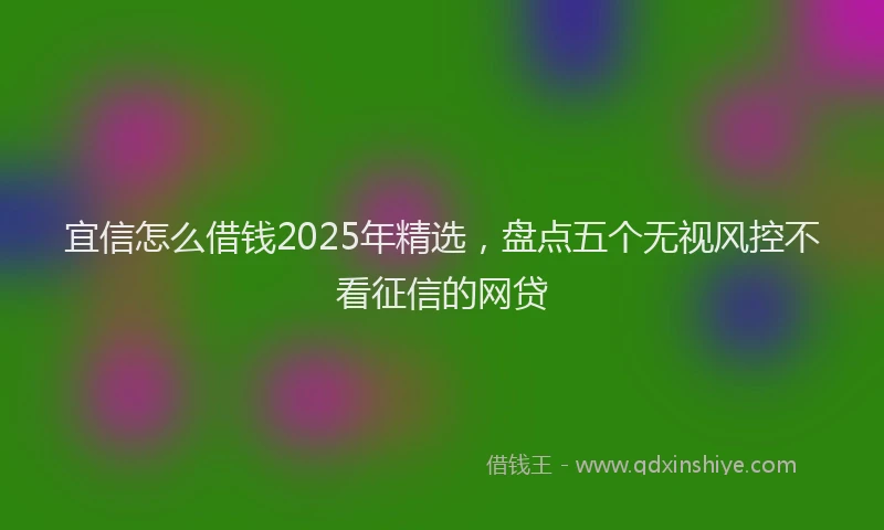 宜信怎么借钱2025年精选，盘点五个无视风控不看征信的网贷