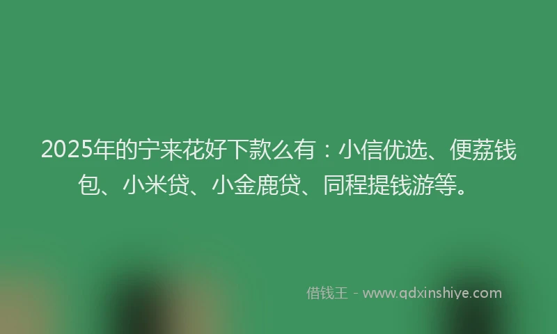 2025年的宁来花好下款么有：小信优选、便荔钱包、小米贷、小金鹿贷、同程提钱游等。