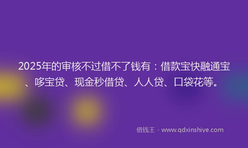 2025年的审核不过借不了钱有：借款宝快融通宝、哆宝贷、现金秒借贷、人人贷、口袋花等。