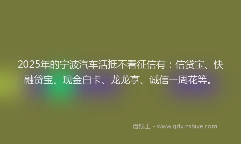 2025年的宁波汽车活抵不看征信有：信贷宝、快融贷宝、现金白卡、龙龙享、诚信一周花等。