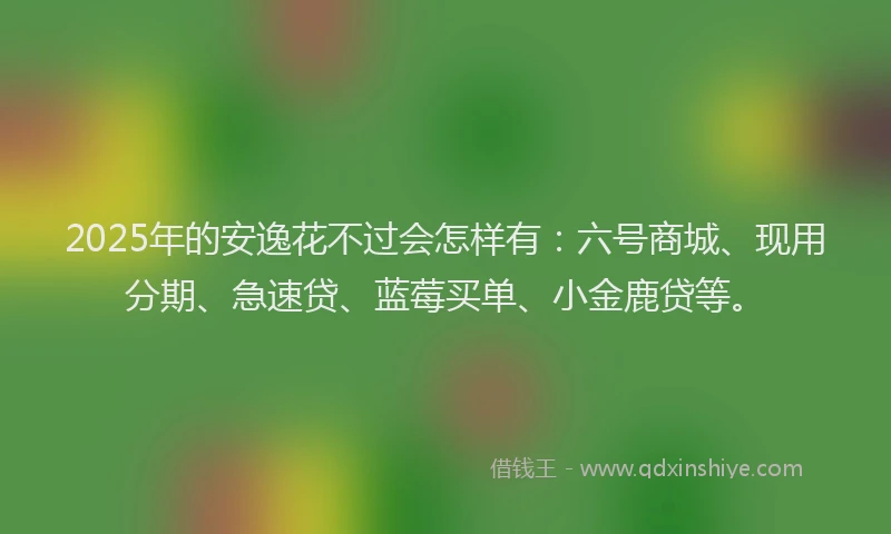 2025年的安逸花不过会怎样有：六号商城、现用分期、急速贷、蓝莓买单、小金鹿贷等。