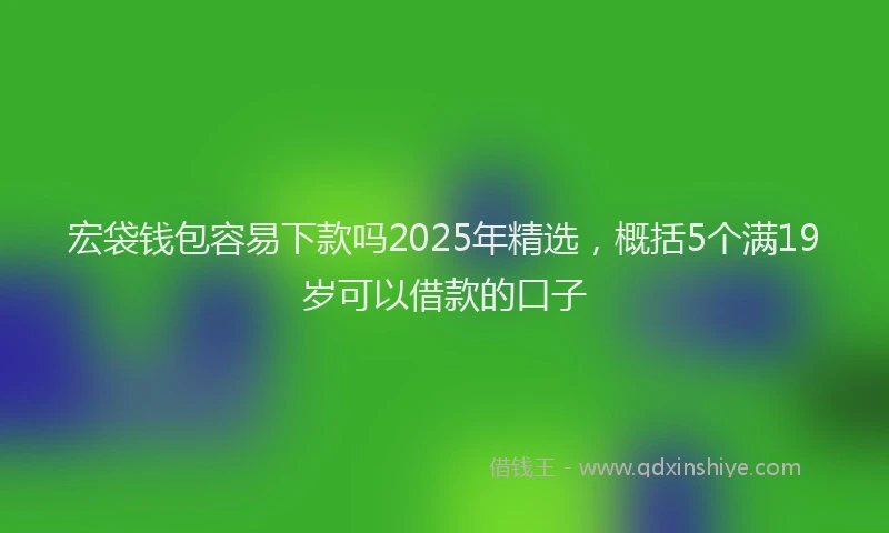 宏袋钱包容易下款吗2025年精选，概括5个满19岁可以借款的口子