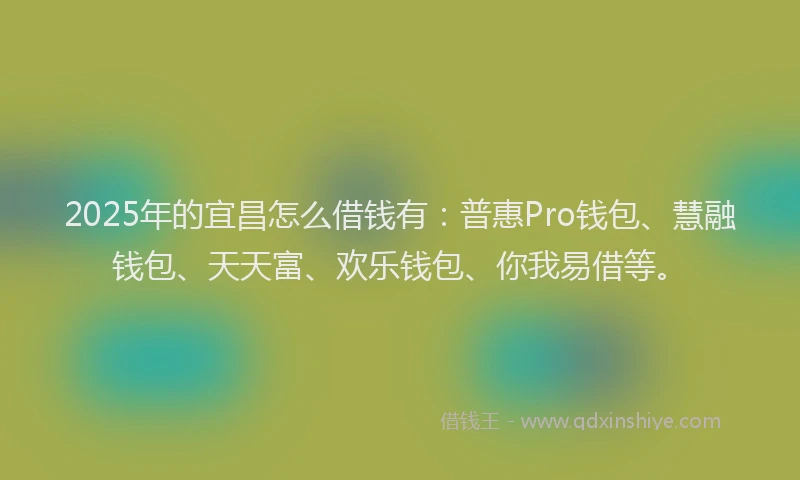 2025年的宜昌怎么借钱有：普惠Pro钱包、慧融钱包、天天富、欢乐钱包、你我易借等。
