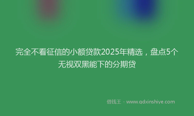 完全不看征信的小额贷款2025年精选，盘点5个无视双黑能下的分期贷