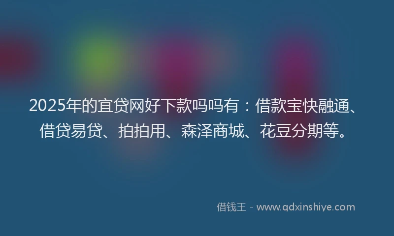 2025年的宜贷网好下款吗吗有：借款宝快融通、借贷易贷、拍拍用、森泽商城、花豆分期等。