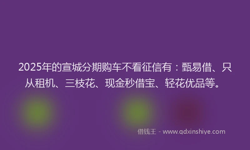 2025年的宣城分期购车不看征信有：甄易借、只从租机、三枝花、现金秒借宝、轻花优品等。
