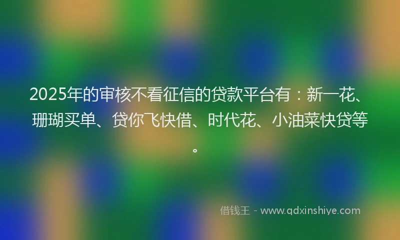 2025年的审核不看征信的贷款平台有：新一花、珊瑚买单、贷你飞快借、时代花、小油菜快贷等。