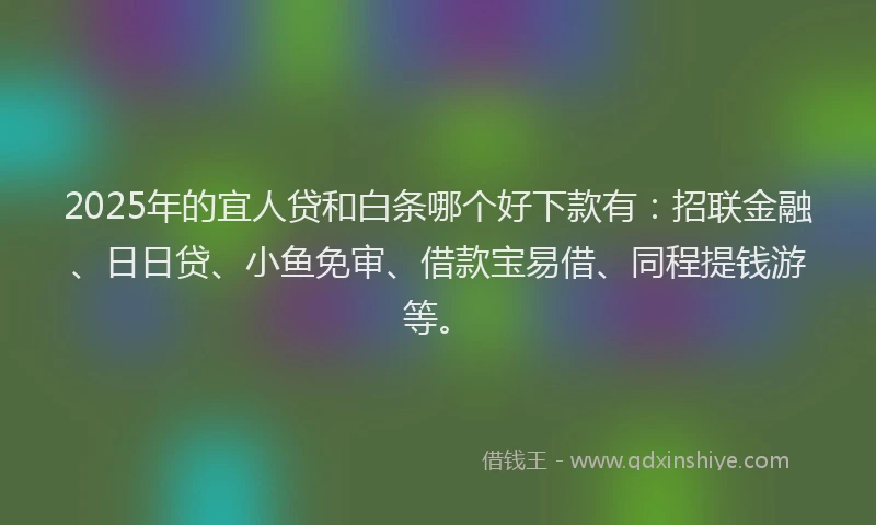 2025年的宜人贷和白条哪个好下款有：招联金融、日日贷、小鱼免审、借款宝易借、同程提钱游等。