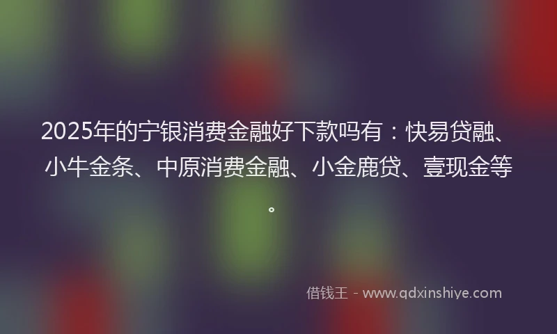 2025年的宁银消费金融好下款吗有：快易贷融、小牛金条、中原消费金融、小金鹿贷、壹现金等。