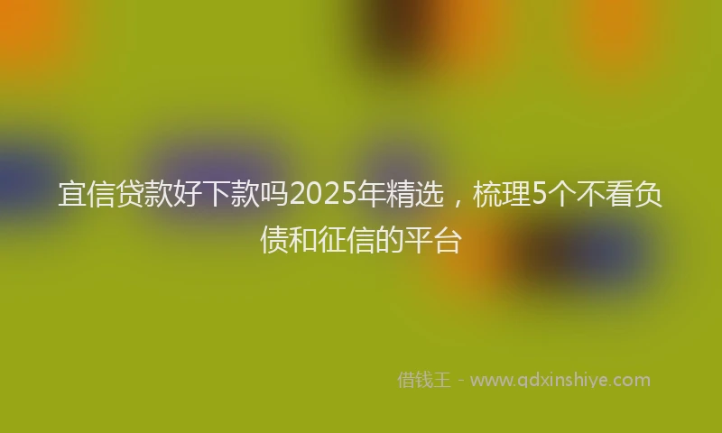 宜信贷款好下款吗2025年精选，梳理5个不看负债和征信的平台