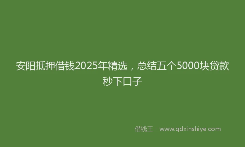 安阳抵押借钱2025年精选，总结五个5000块贷款秒下口子