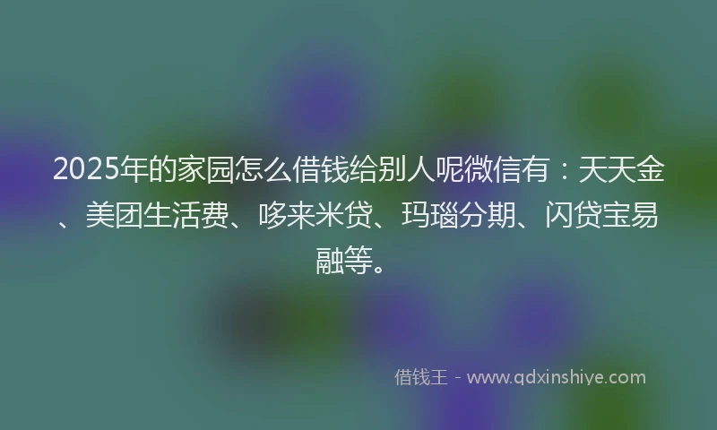 2025年的家园怎么借钱给别人呢微信有：天天金、美团生活费、哆来米贷、玛瑙分期、闪贷宝易融等。