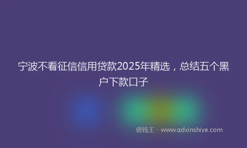 宁波不看征信信用贷款2025年精选，总结五个黑户下款口子