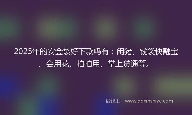 2025年的安金袋好下款吗有：闲猪、钱袋快融宝、会用花、拍拍用、掌上贷通等。