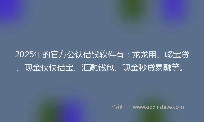 2025年的官方公认借钱软件有：龙龙用、哆宝贷、现金侠快借宝、汇融钱包、现金秒贷易融等。