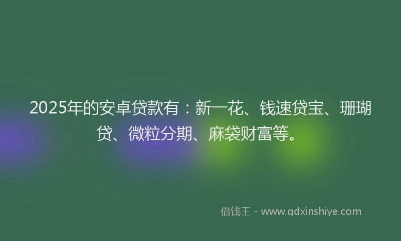 2025年的安卓贷款有：新一花、钱速贷宝、珊瑚贷、微粒分期、麻袋财富等。