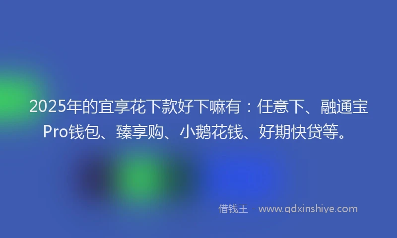 2025年的宜享花下款好下嘛有：任意下、融通宝Pro钱包、臻享购、小鹅花钱、好期快贷等。