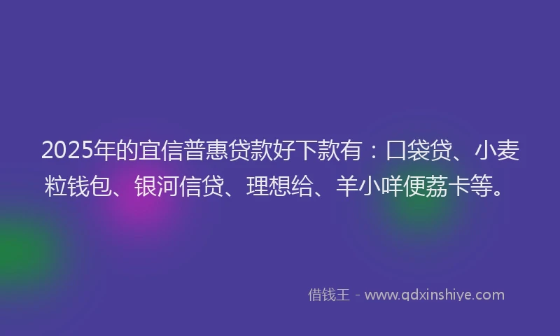 2025年的宜信普惠贷款好下款有：口袋贷、小麦粒钱包、银河信贷、理想给、羊小咩便荔卡等。