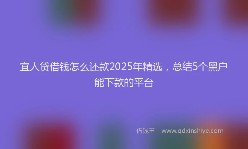 宜人贷借钱怎么还款2025年精选，总结5个黑户能下款的平台