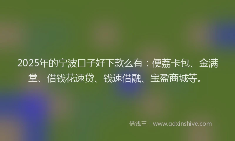2025年的宁波口子好下款么有：便荔卡包、金满堂、借钱花速贷、钱速借融、宝盈商城等。