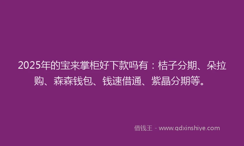 2025年的宝来掌柜好下款吗有：桔子分期、朵拉购、森森钱包、钱速借通、紫晶分期等。