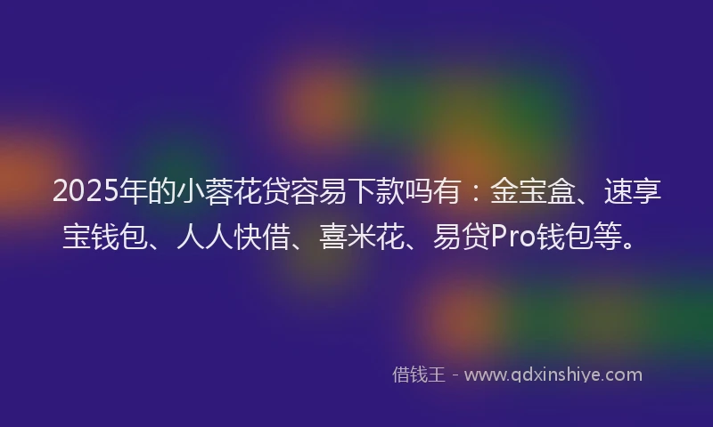 2025年的小蓉花贷容易下款吗有：金宝盒、速享宝钱包、人人快借、喜米花、易贷Pro钱包等。