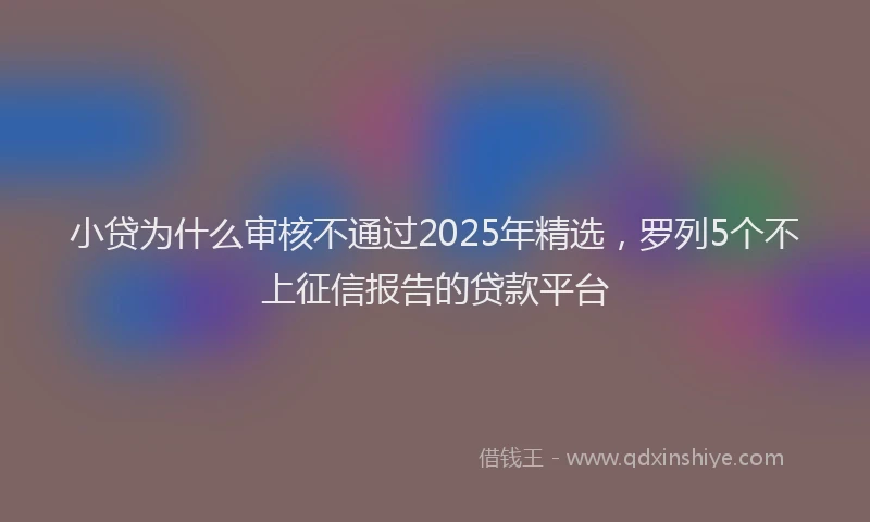 小贷为什么审核不通过2025年精选，罗列5个不上征信报告的贷款平台