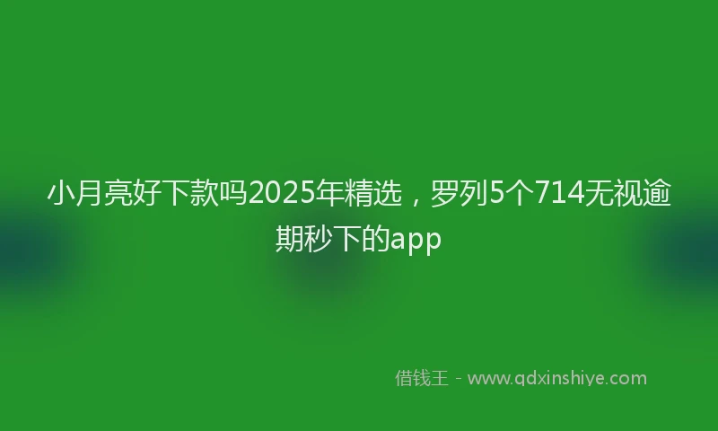 小月亮好下款吗2025年精选，罗列5个714无视逾期秒下的app