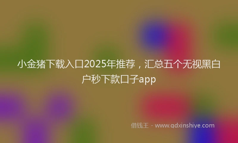 小金猪下载入口2025年推荐，汇总五个无视黑白户秒下款口子app