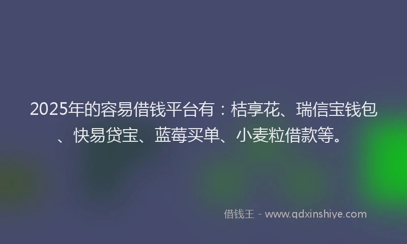 2025年的容易借钱平台有：桔享花、瑞信宝钱包、快易贷宝、蓝莓买单、小麦粒借款等。